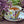 Load image into Gallery viewer, GOOD NIGHT TEA - 100% ORGANIC
